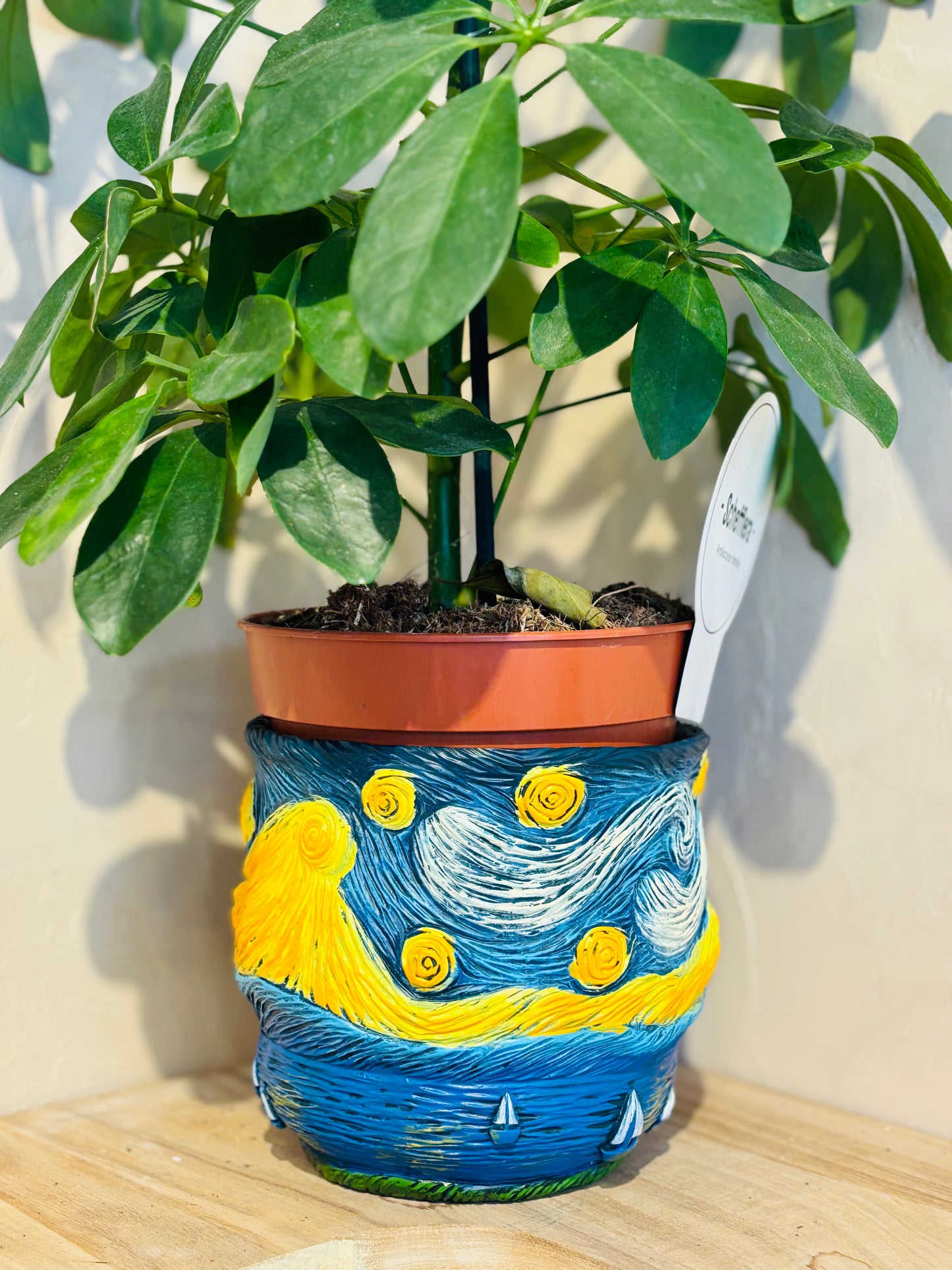 Cache pot Vincent Van Gogh