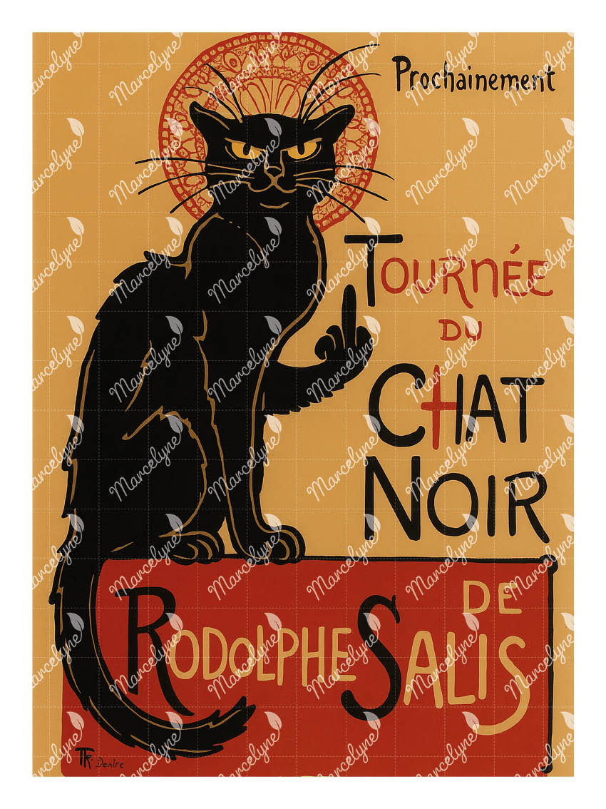 Le Chat Noir Insolent