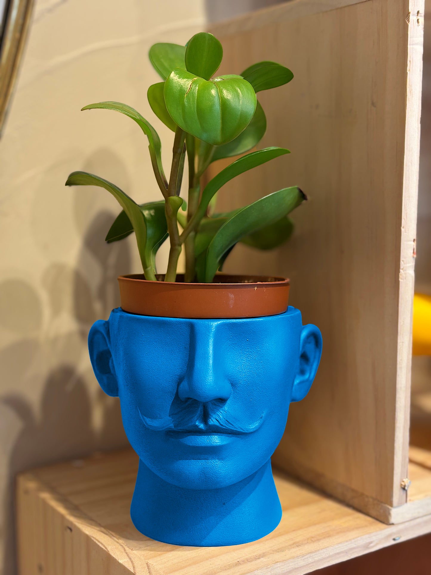 Cache pot Dali