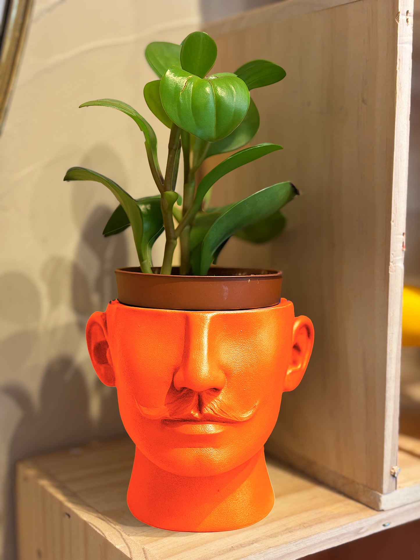 Cache pot Dali