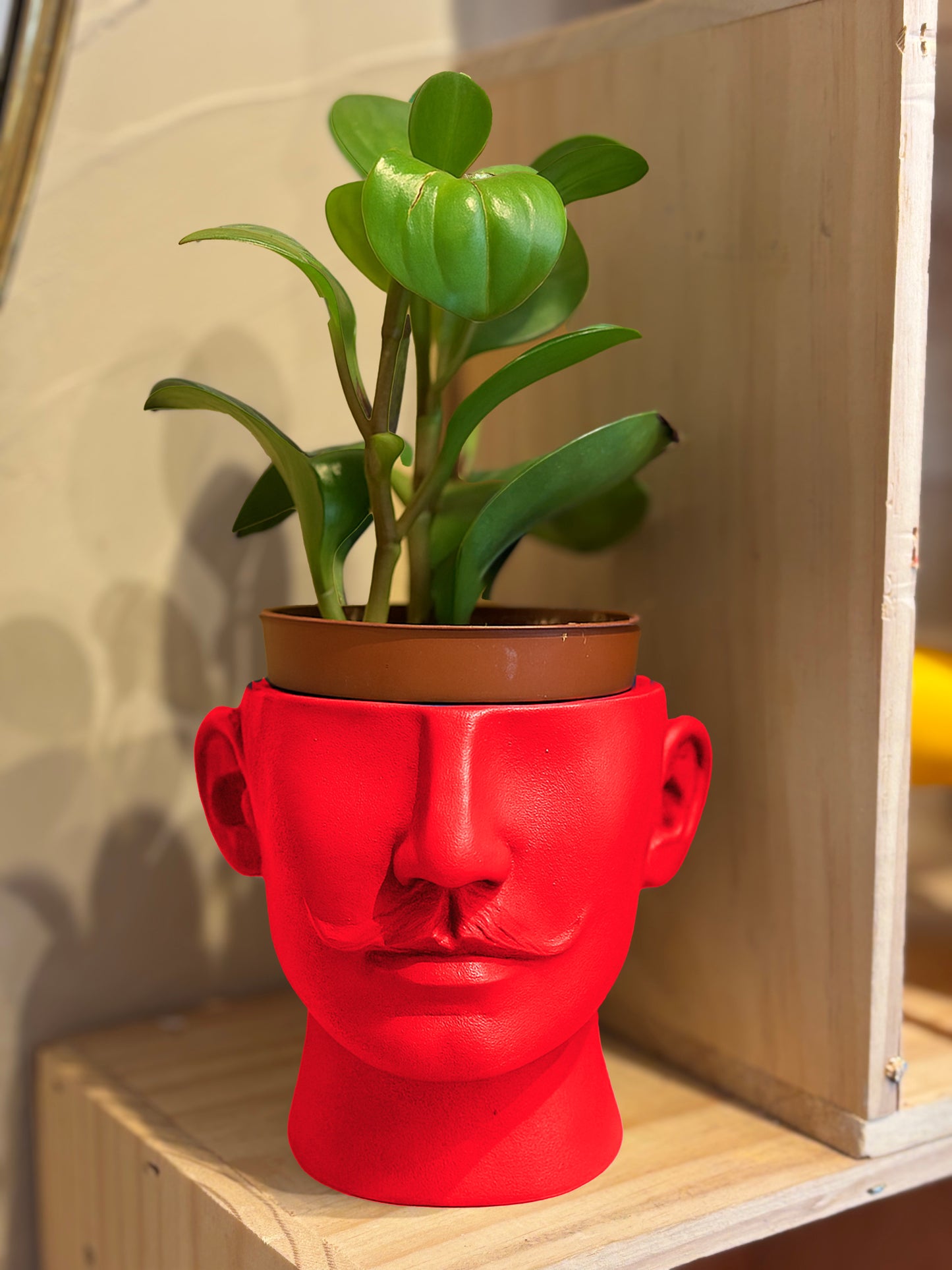 Cache pot Dali