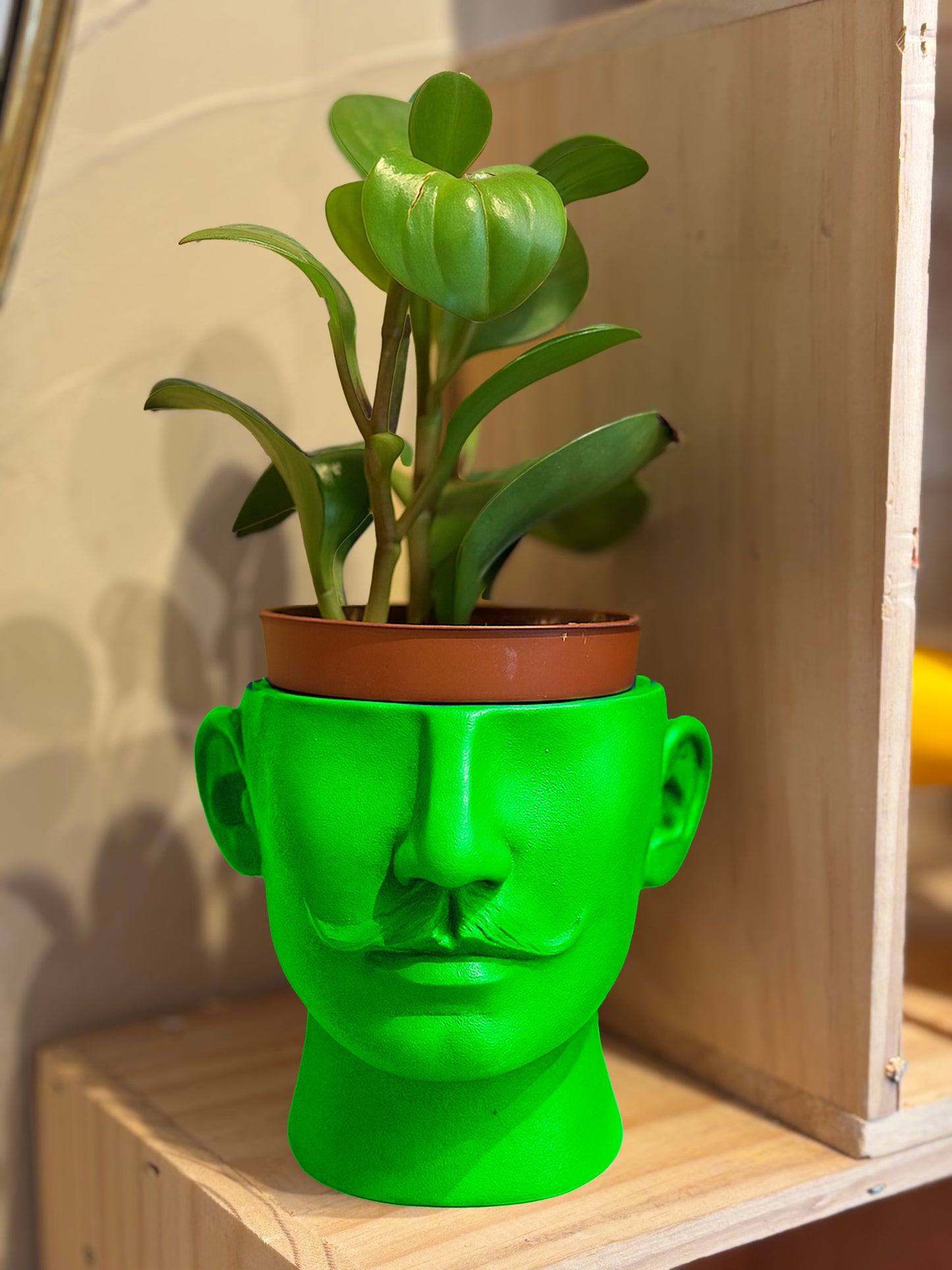 Cache pot Dali