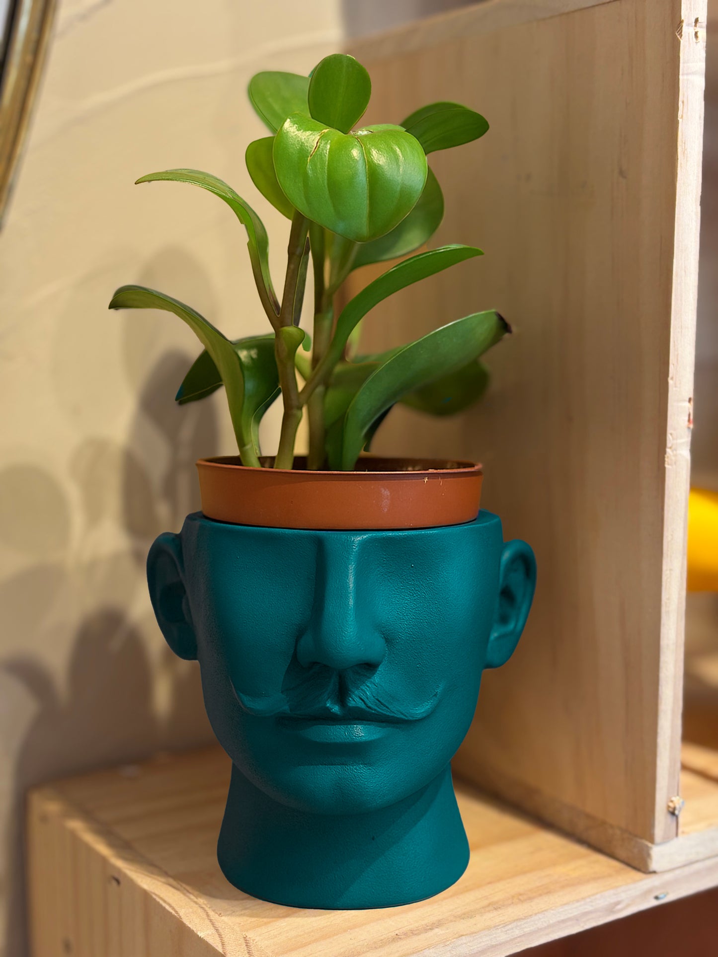 Cache pot Dali