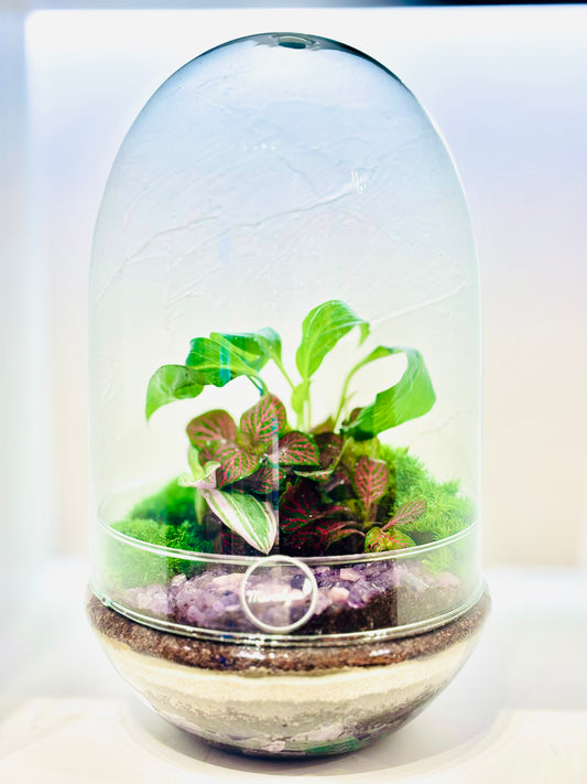 Terrarium (Copie)