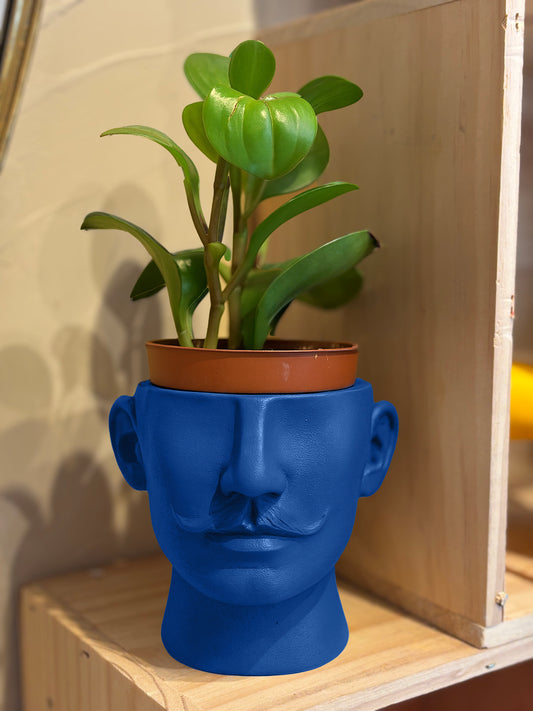 Cache pot Dali